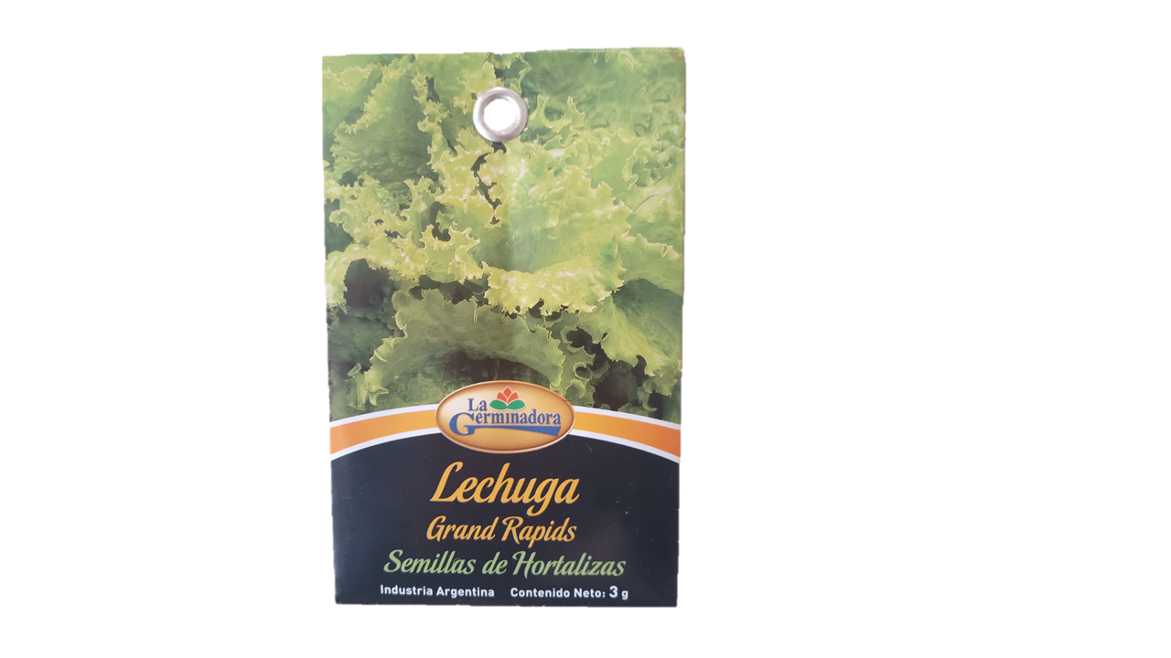 SEMILLA DE LECHUGA